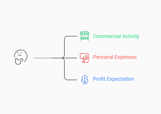 A classification diagram illustrating commercial activity, personal expenses, and profit expectation might be questioned by CRA for reporting losses.
